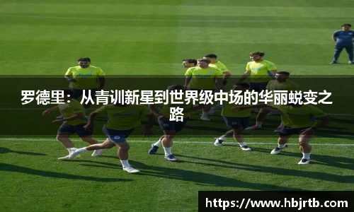 乐动LDSports官网